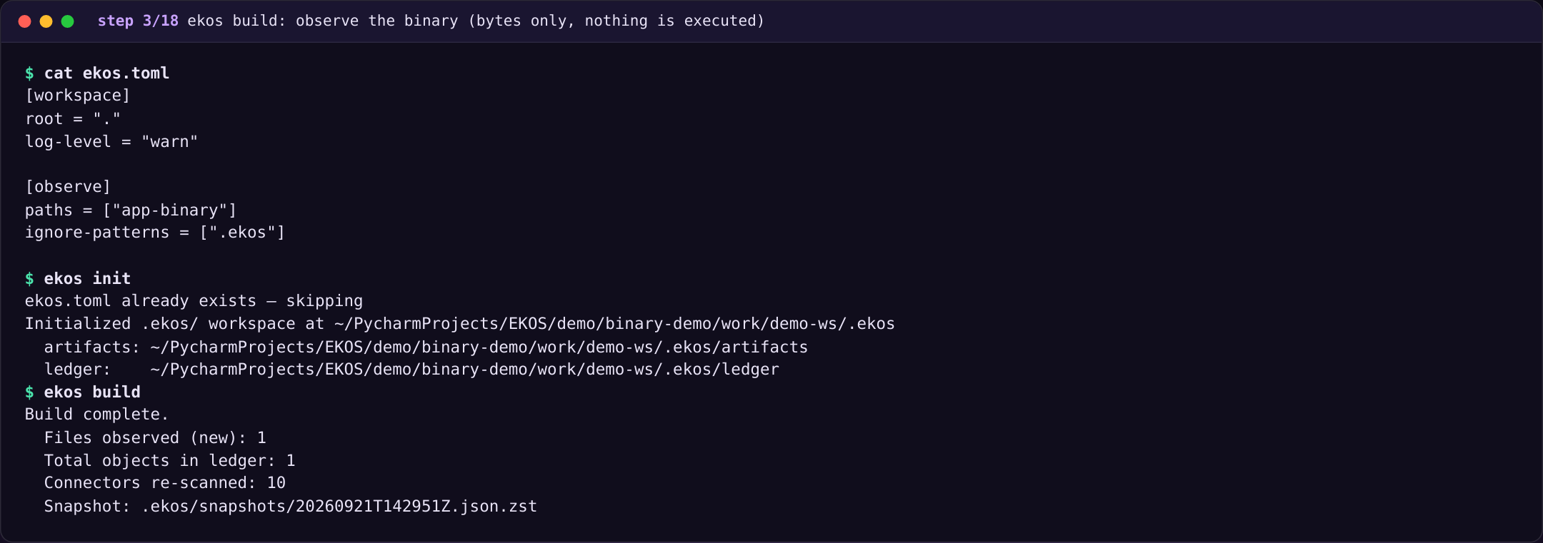 ekos build: observe the binary (bytes only, nothing is executed)